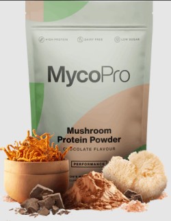 Why Mushroom Protein Powder is a good alternative for vegans? - AtoAllinks