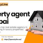 Apex Skyline Profile Picture