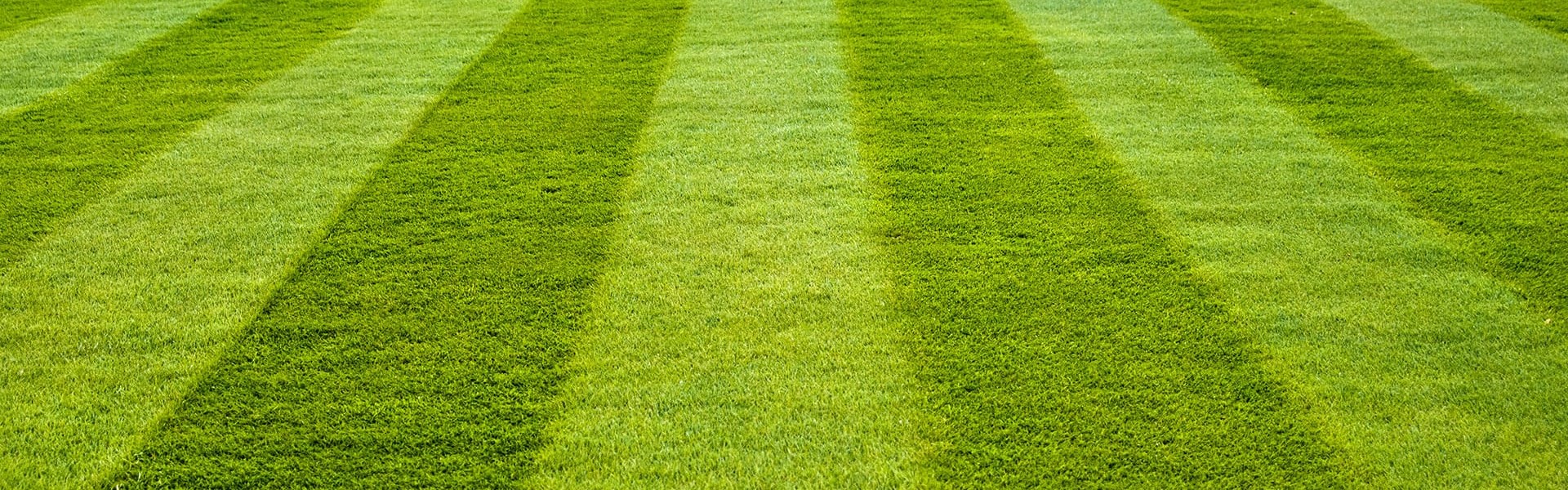 Why Utilizing Fake Grass For Home Is A Smart Investment?