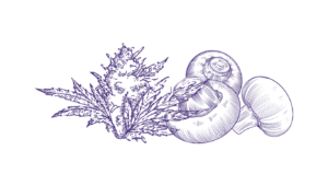 Join Craft Club: Wellness Social Club Where Creativity Meets Community