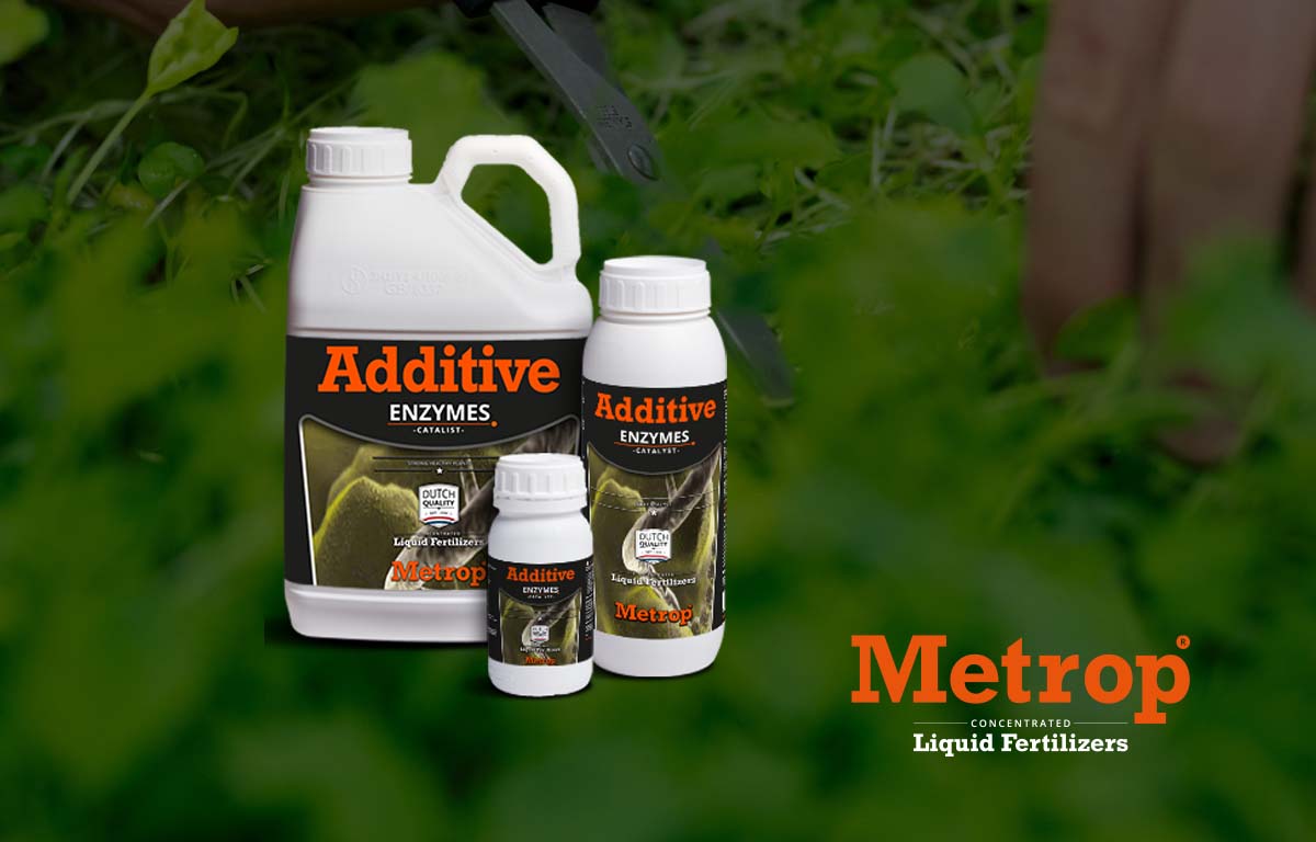 Liquid seaweed fertilizer |Best in quality |Metrop