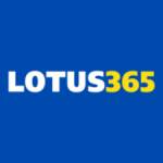 lotus365 Profile Picture