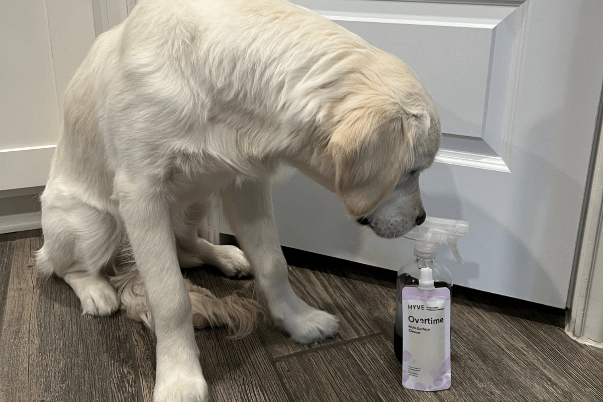 A Complete Guide to Pet Safe Cleaning Products for Home | Hyve