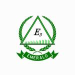 Emerald Energy Profile Picture