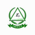 Emerald Energy profile picture