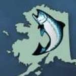 Kingfisher Alaska Fishing Lodge Charters profile picture