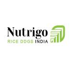 Rice DDGS India Profile Picture