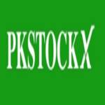 pkstockx net Profile Picture