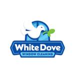 White Dove Windows Profile Picture