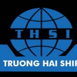 Truong Hai Shipping International Profile Picture