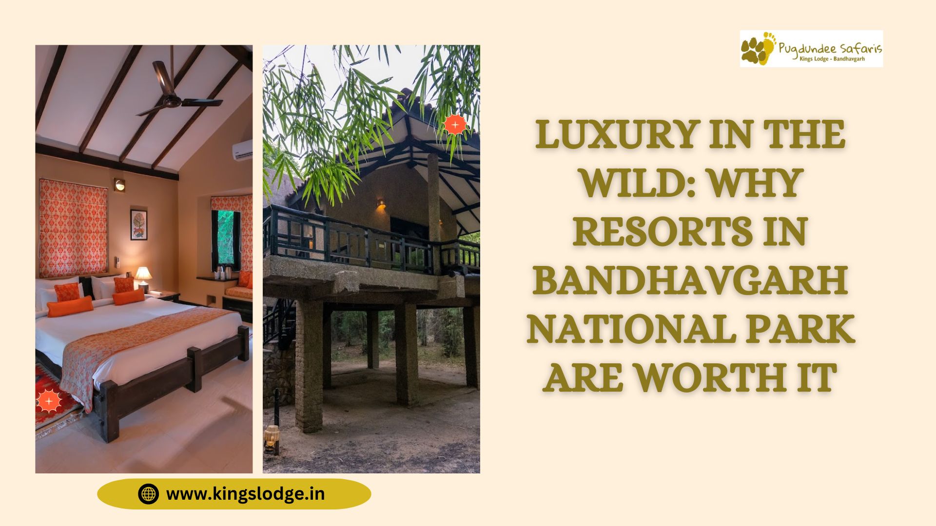 Luxury in the Wild: Why Resorts in Bandhavgarh National Park Are Worth It | Blog