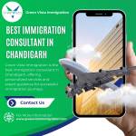 Green Vista Immigration profile picture