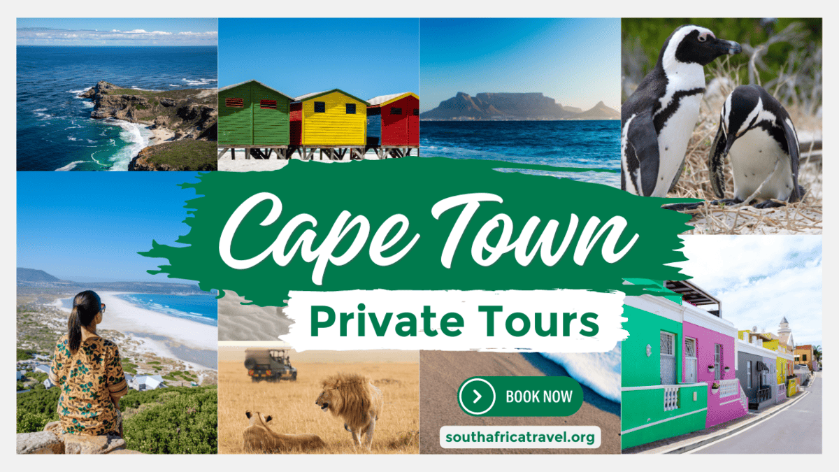 Cape Town Private Tours | Private Tour Packages in Cape Town