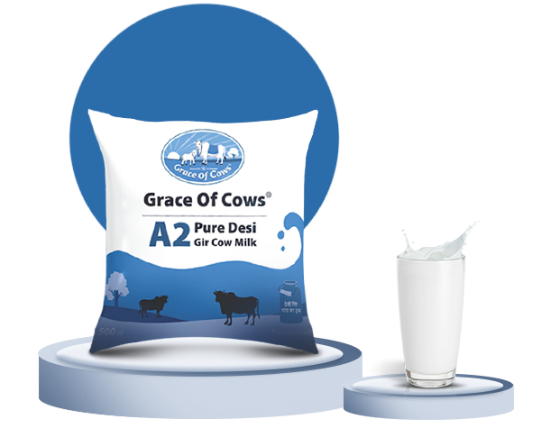 How Can A2 Desi Cow Milk Benefit Pregnant Women and New Mothers? | by Grace Of Cows | Nov, 2024 | Medium