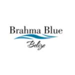 Brahma Blue Belize Profile Picture