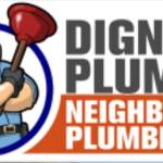 Dignity 24/7 Emergency Plumbing and Water Softener Serv Profile Picture