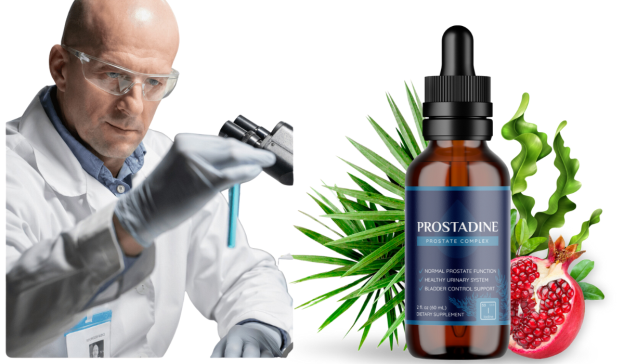 https://www.thereporter.com/2024/11/11/prostadine-reviews-alert-prostadine-drops-safe-for-mens-prostate-gland/