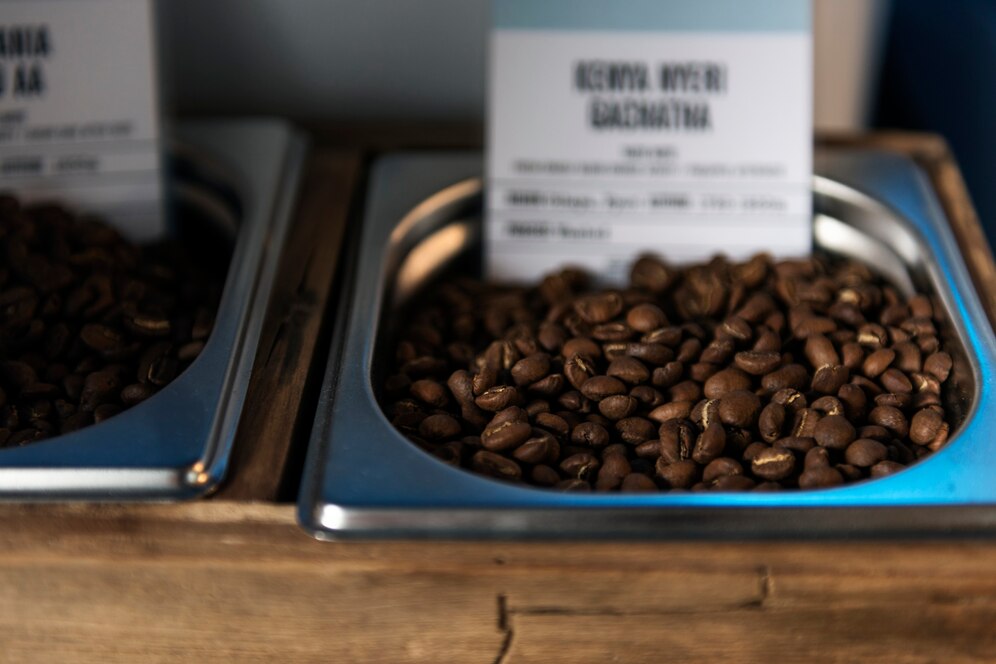 Why Brisbane's Best Coffee Beans Are A Must-Try For Coffee Lovers - Tech Monarchy