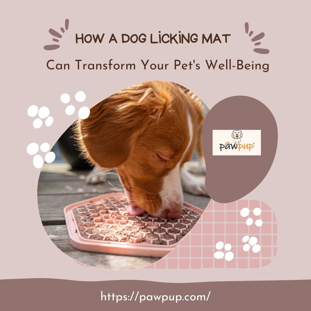 How a Dog Licking Mat Can Transform Your Pet's Well-Being? - Money & Finance