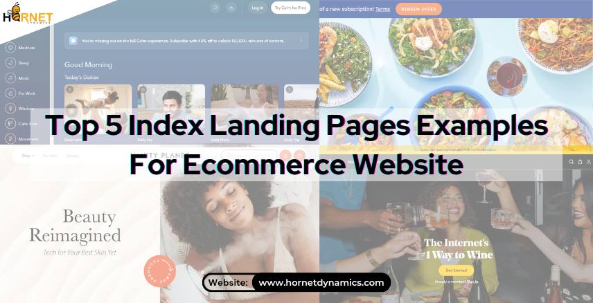 Top 5 Index Landing Pages Examples For Ecommerce Website