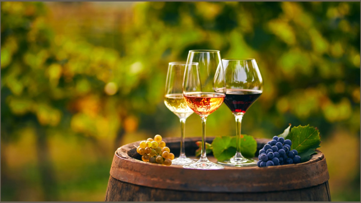 A Deep Dive into White, Rose and Red Wine: Choose Your Perfect Sip – Aussie Daily Lifestyle