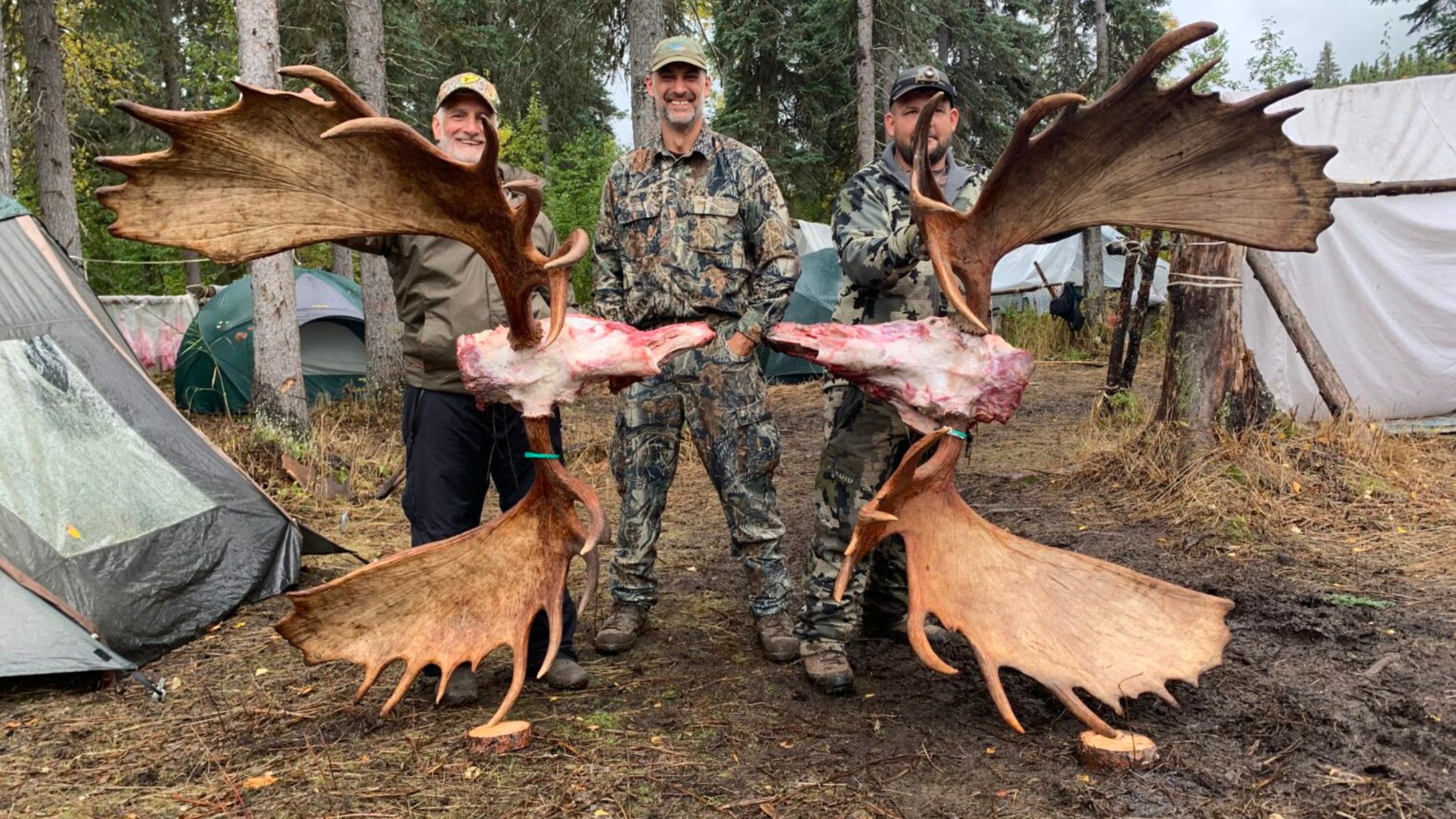 Why Alaska Moose Hunting Is An Appealing Adventure / Alaska Bush Adventures