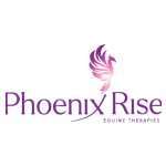 Phoenix Rise Equine Therapies Profile Picture