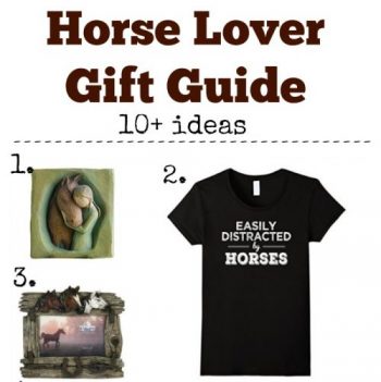 Christmas Gift Guide | Gifts for Horse Lovers! - Happy Deal - Happy Day!