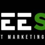 Raeeseo Internet Marketing Agency Profile Picture