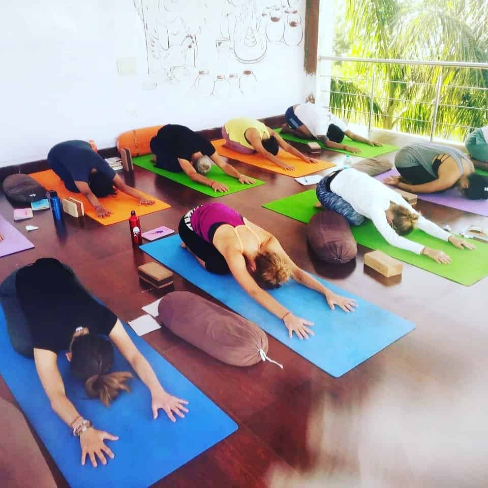 200 Hour Yoga Teacher Training in Rishikesh | 200 Hour YTT | Pratham Yoga