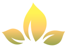 Best Asian Massage in NYC | Garden Retreat Spa
