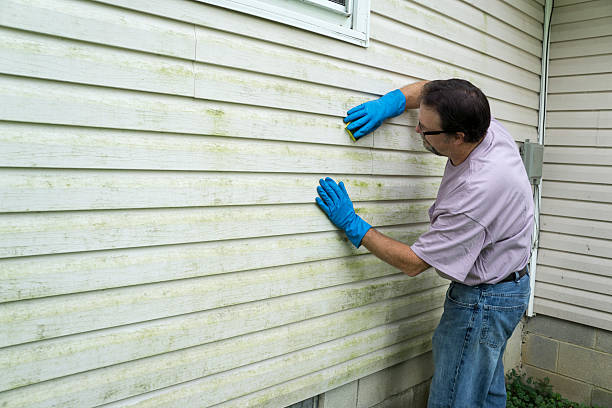 Choosing the Right Materials for Siding Replacement in Maryland - Bioneers Live