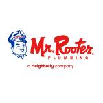 Mr Rooter Plumbing of Dallas Profile Picture