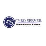 CyboServer - Your Trusted Partne Profile Picture