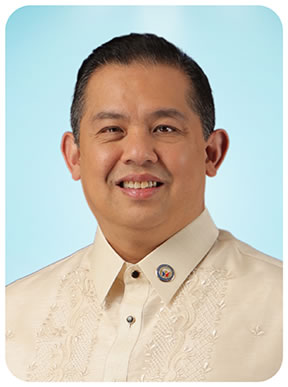 Martin Romualdez - Wikipedia