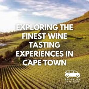 Exploring the Finest Wine Tasting Experiences in Cape Town