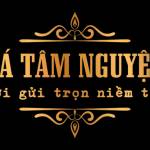 Đá Tâm Nguyện Profile Picture