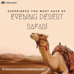 Evening Desert safari Profile Picture