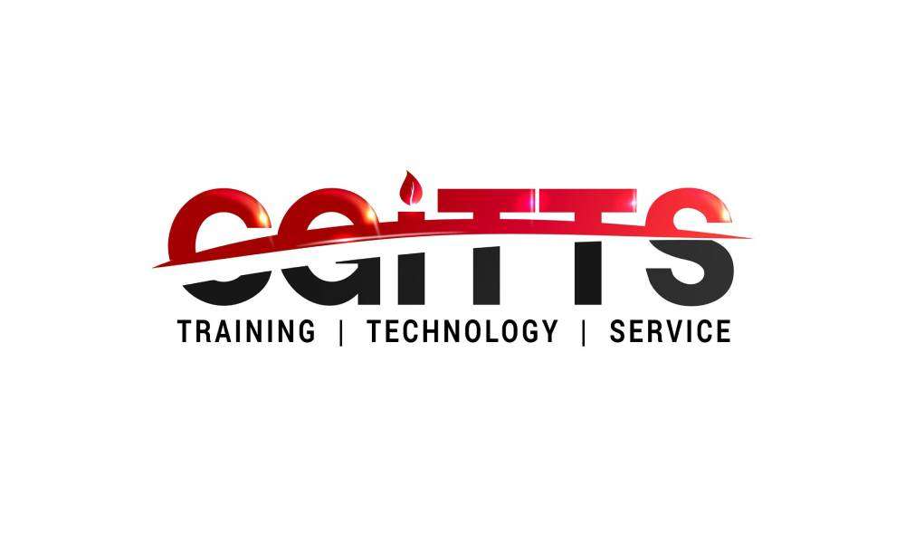 CGITTS Digital Marketing Company Profile Picture