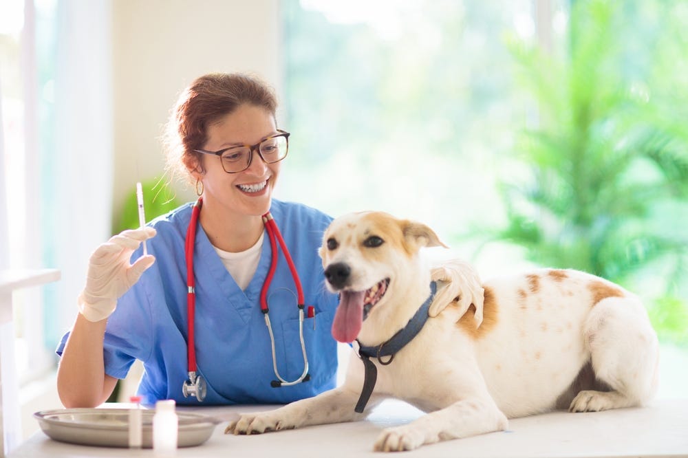 How Vaccinations Can Save Your Pet’s Life: A Closer Look | by Silverado Veterinary Hospital | Oct, 2024 | Medium