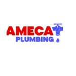 Ameca Plumbing Profile Picture