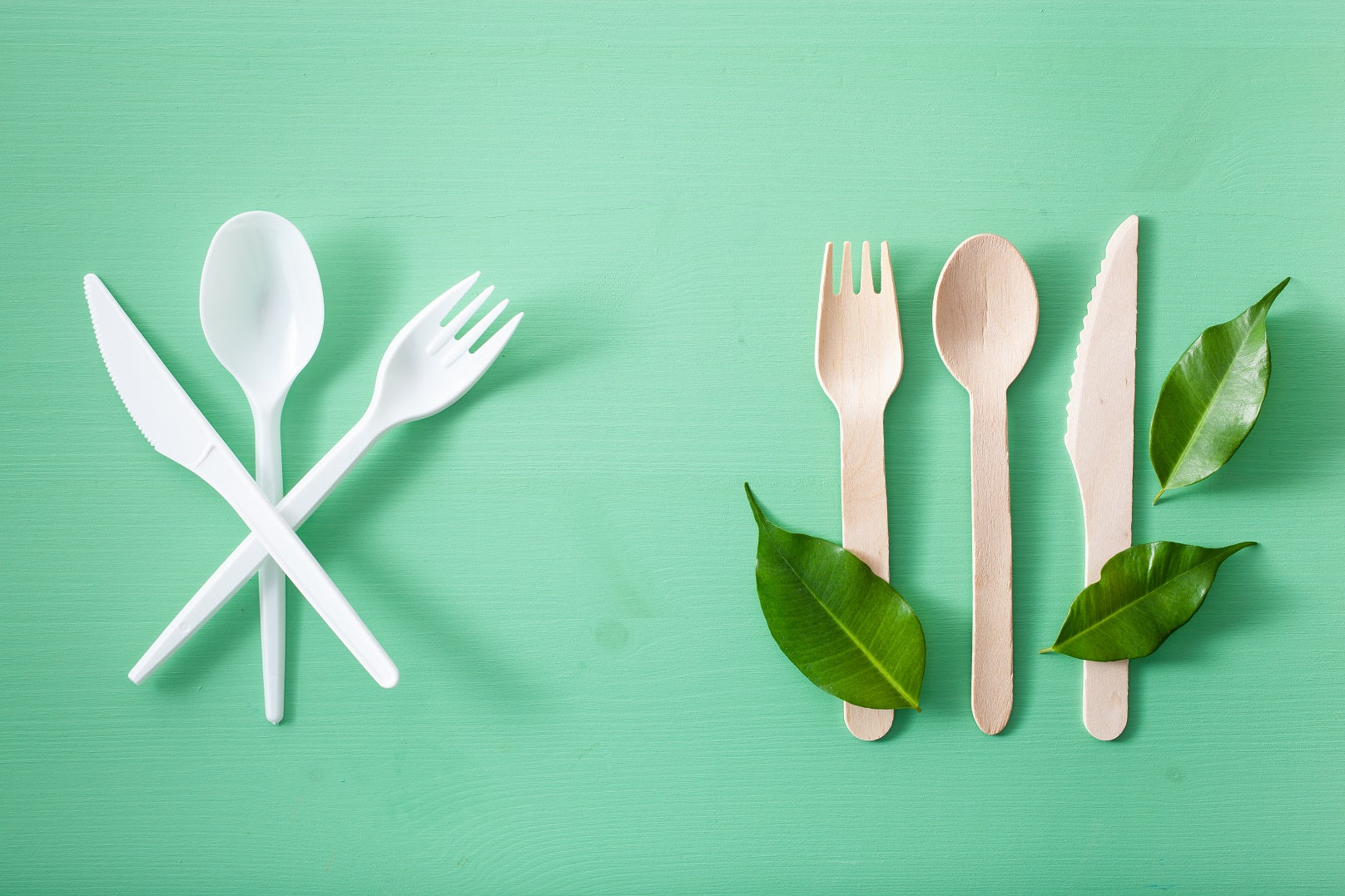 Could Switching To Biodegradable Containers And Cutlery Make Your Food Business Greener?