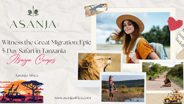 Witness the Great Migration: Epic 5-Day Safari in Tanzania