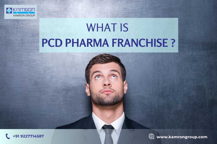 What is PCD Pharma Franchise Business?