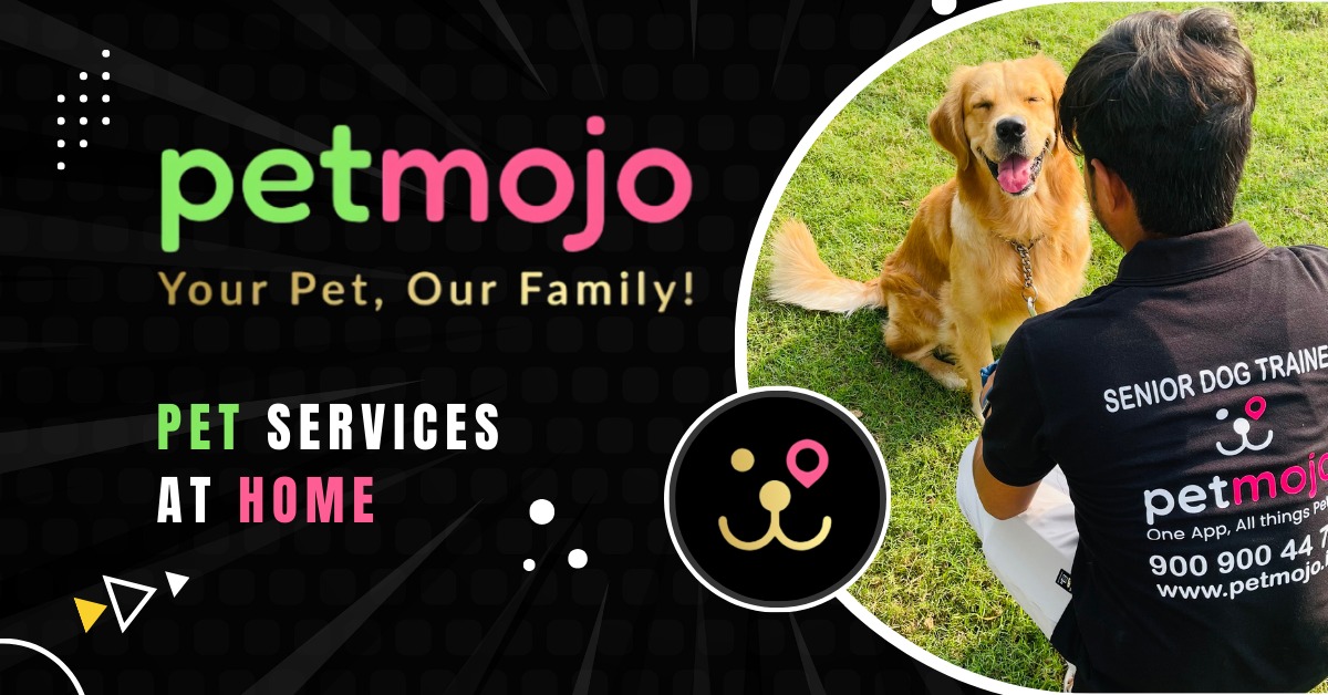 PetMojo Establishes New Standards In Pet Care With Thousands Of Satisfied Pet Owners Every Month