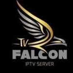 falcon live profile picture