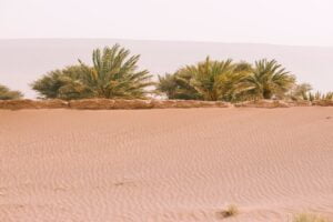 What you need to know about Egyptian Sites ? - Red Sea Happy Tours
