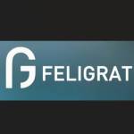 Feligrat SAP Profile Picture