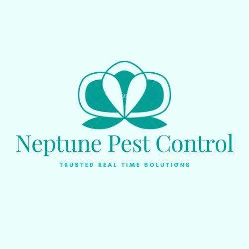 Neptune Pest Control Profile Picture