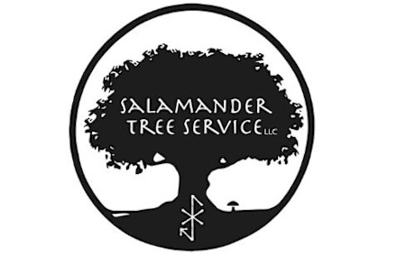 Salamander LLC | Indiegogo